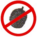 No durians allowed