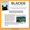 Blackie, The Horse Who Stood Still